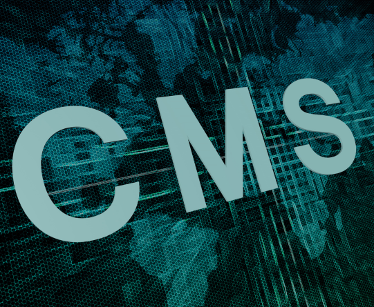 Content Management Systems